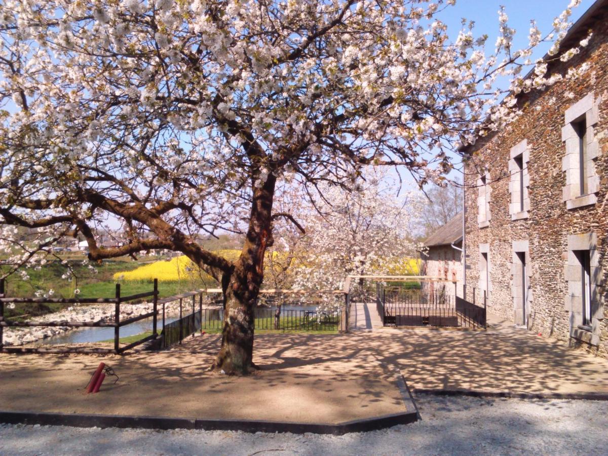 Bed and Breakfast Le Moulin De Bretigneul Saint-Aubin-des-Landes Esterno foto